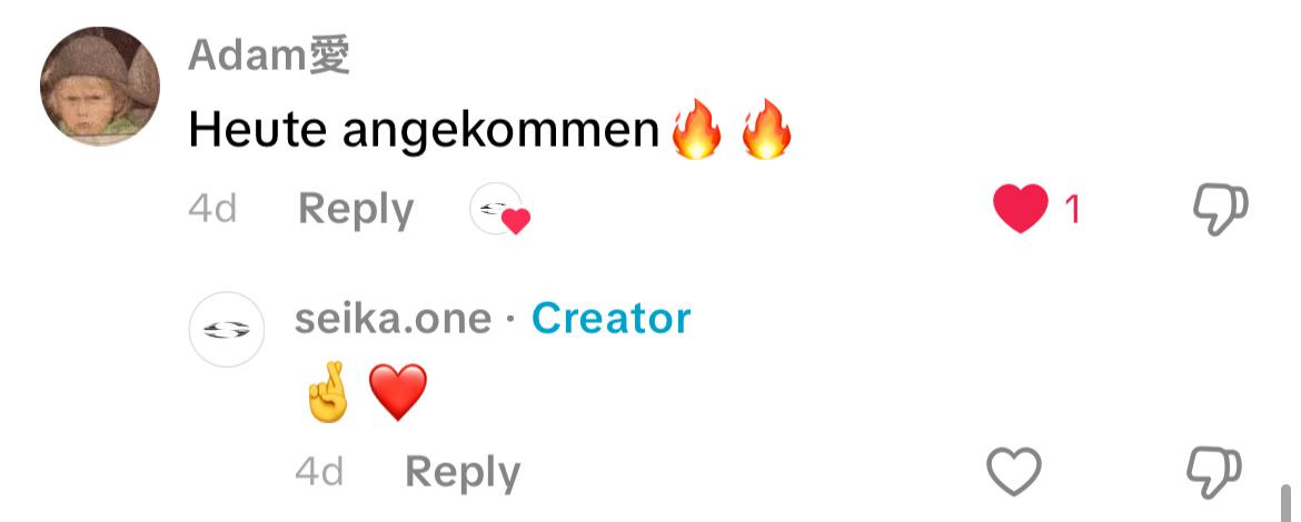 Customer review 19